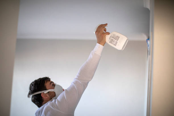 Best Fast Mold Removal  in Lepanto, AR