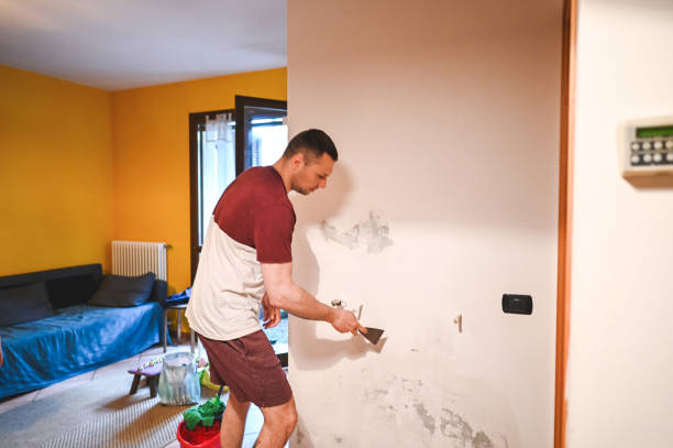 Best Commercial Mold Removal  in Lepanto, AR